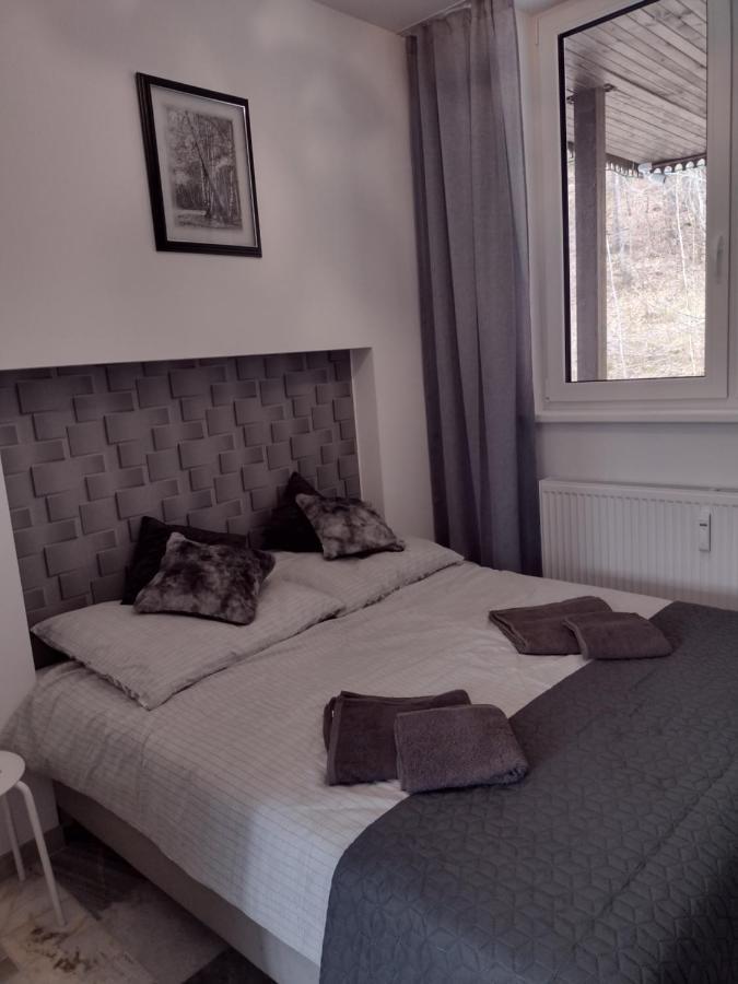 Jaszowiec 92 Abc Apartment *